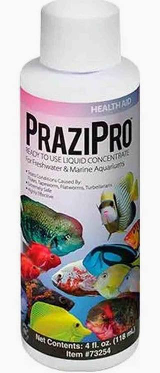 Hikari Prazipro Parasite Treatment 4oz