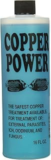 Endich Copper Power 16oz