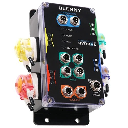 Hydros Blenny