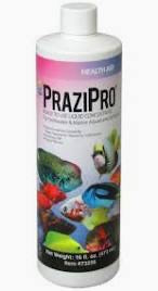 Hikari Prazipro Parasite Treatment 16oz